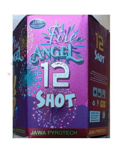 12 SHOT RIDER